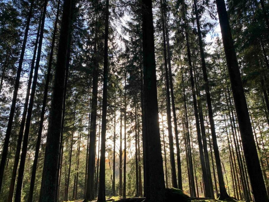 Panoramavy Naera Gbg Och Natur Olofstorp Buitenkant foto