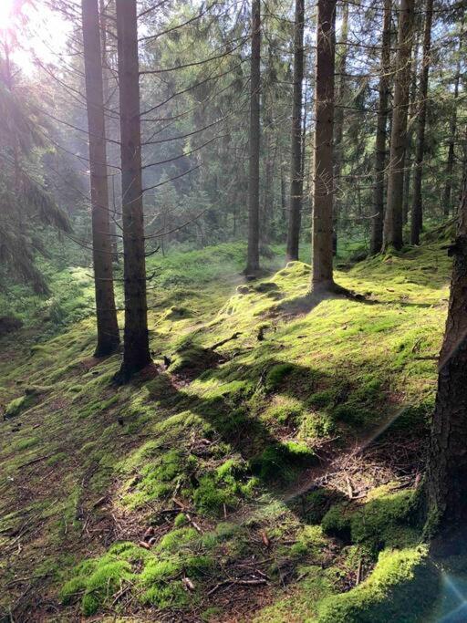 Panoramavy Naera Gbg Och Natur Olofstorp Buitenkant foto